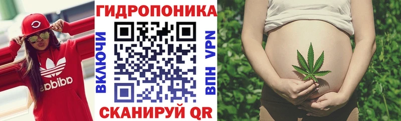 Виды наркоты Володарск мега ссылки  МЕФ  Псилоцибиновые грибы  Марихуана  APVP 