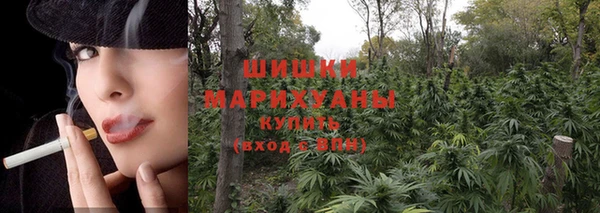 мескалин Богданович