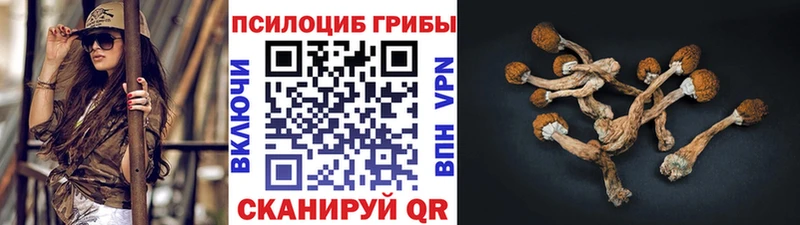hydra ONION  Володарск  Галлюциногенные грибы Magic Shrooms 